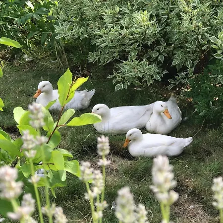 Cozy And Modern With A Countryside Feeling In *