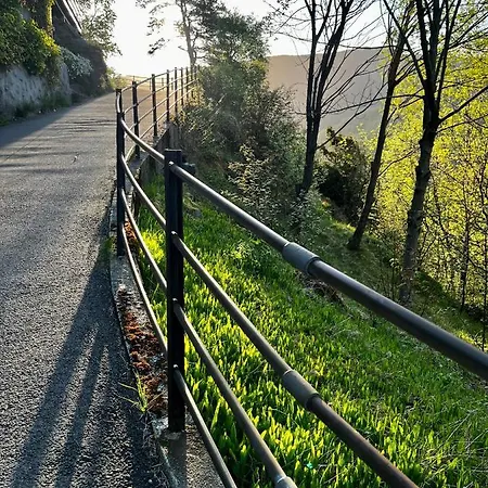 Cozy And Modern With A Countryside Feeling In