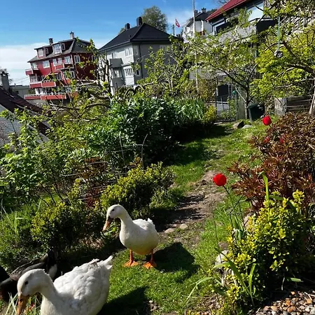 Leilighet Cozy And Modern With A Countryside Feeling In