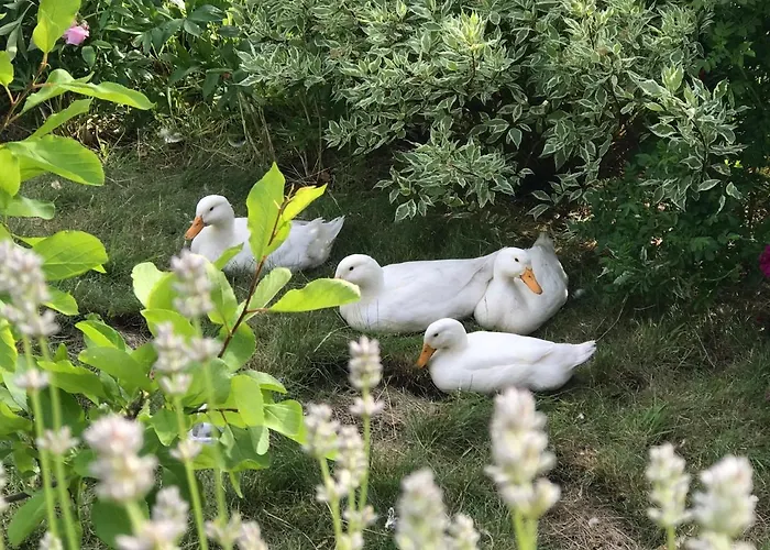 Cozy And Modern With A Countryside Feeling In *