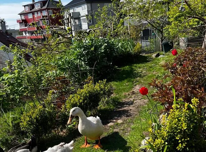 Apartman Cozy And Modern With A Countryside Feeling In