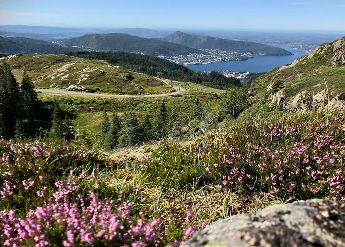 Cozy And Modern With A Countryside Feeling In Bergen