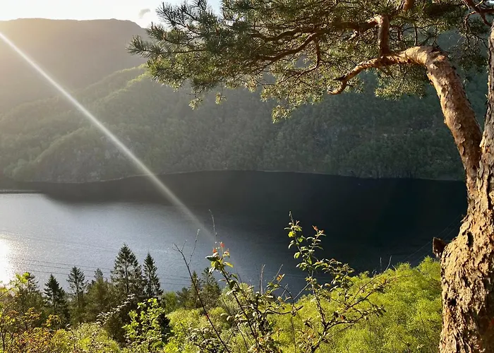 Cozy And Modern With A Countryside Feeling In