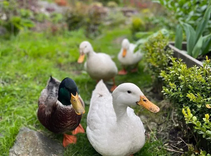 Cozy And Modern With A Countryside Feeling In Διαμέρισμα